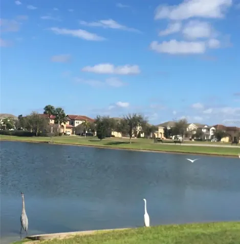 11807 Vermillion Avenue Windermere FL 34786