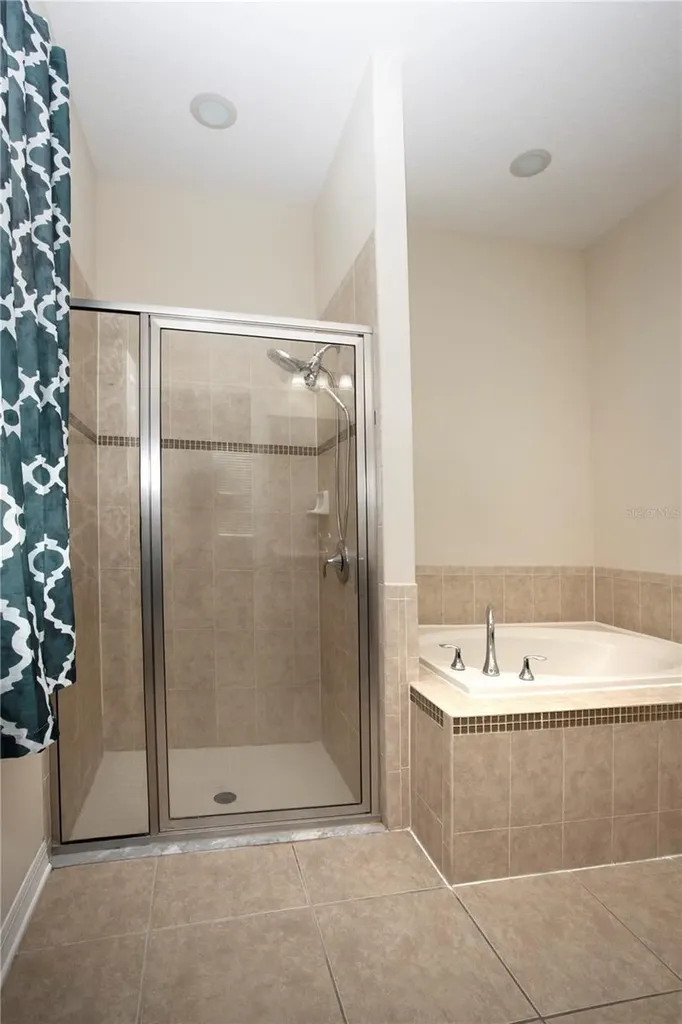 1319 Rowantree Drive Dover FL 33527
