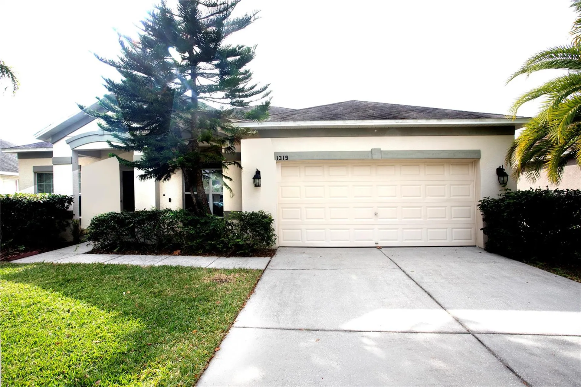 1319 Rowantree Drive Dover FL 33527