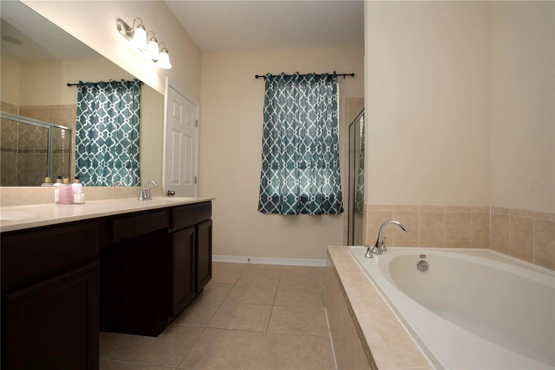1319 Rowantree Drive Dover FL 33527