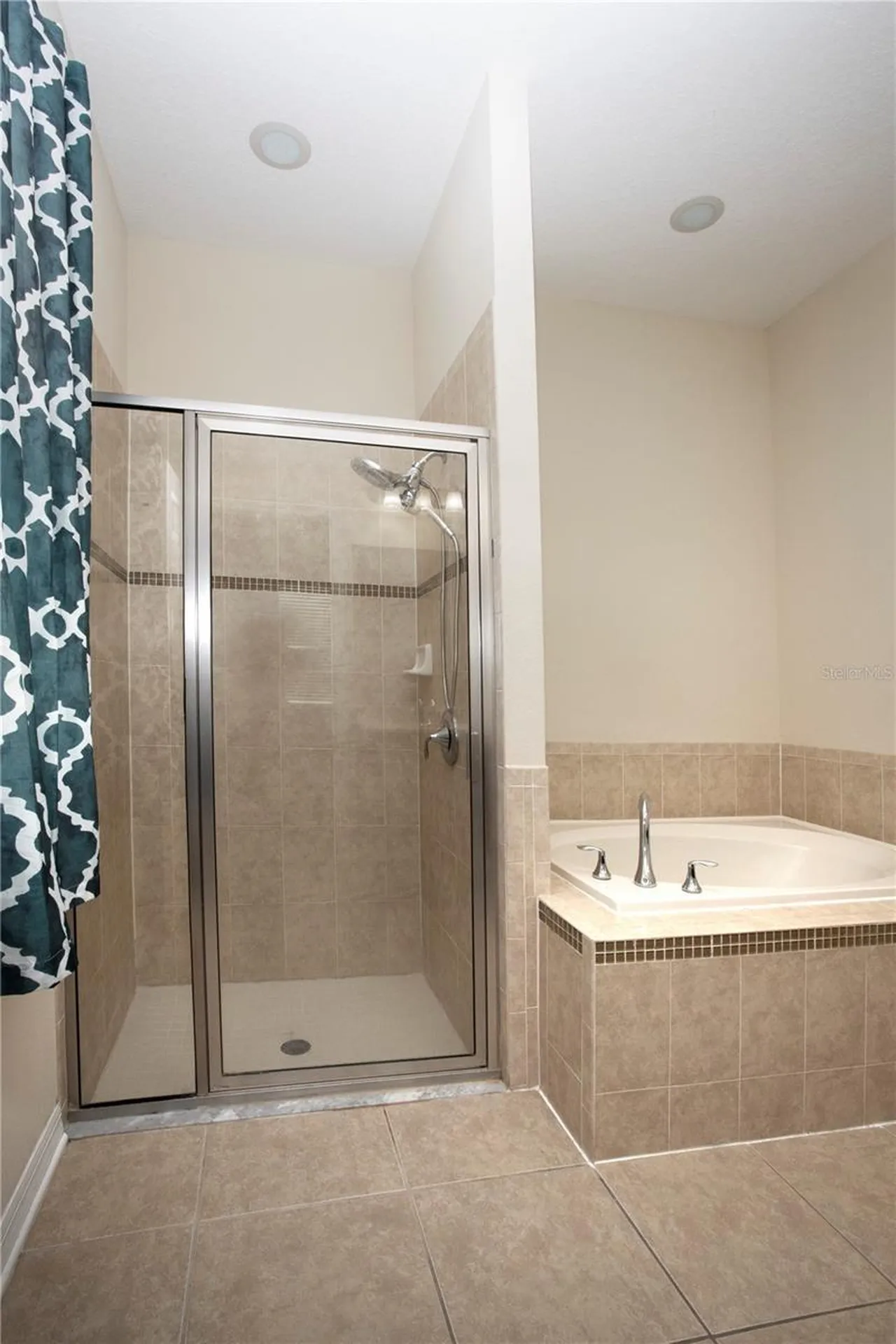 1319 Rowantree Drive Dover FL 33527
