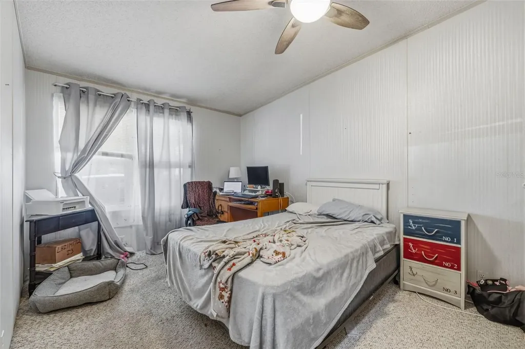 3125 Short Leaf Street Wesley Chapel FL 33543