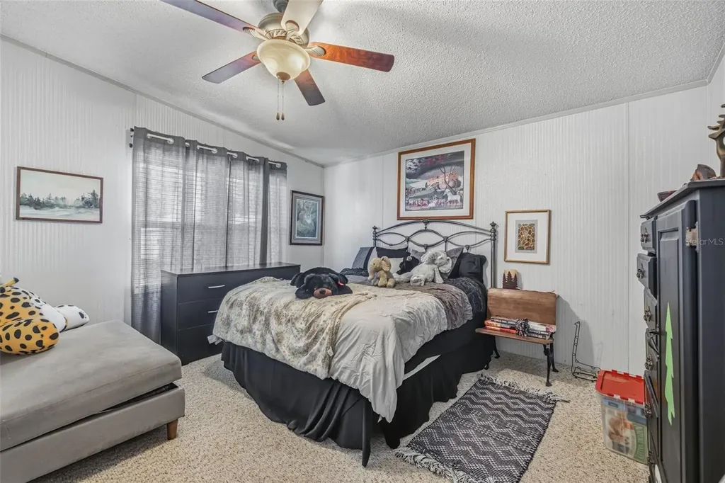 3125 Short Leaf Street Wesley Chapel FL 33543