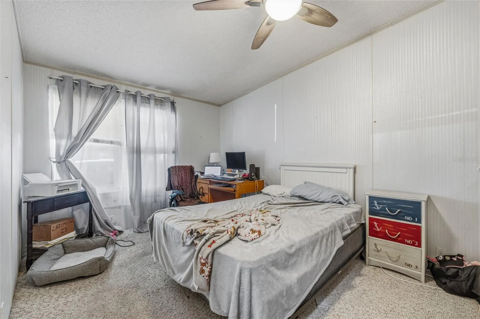 3125 Short Leaf Street Wesley Chapel FL 33543