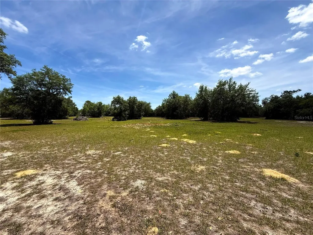 4535 W Ranger Street Beverly Hills FL 34465