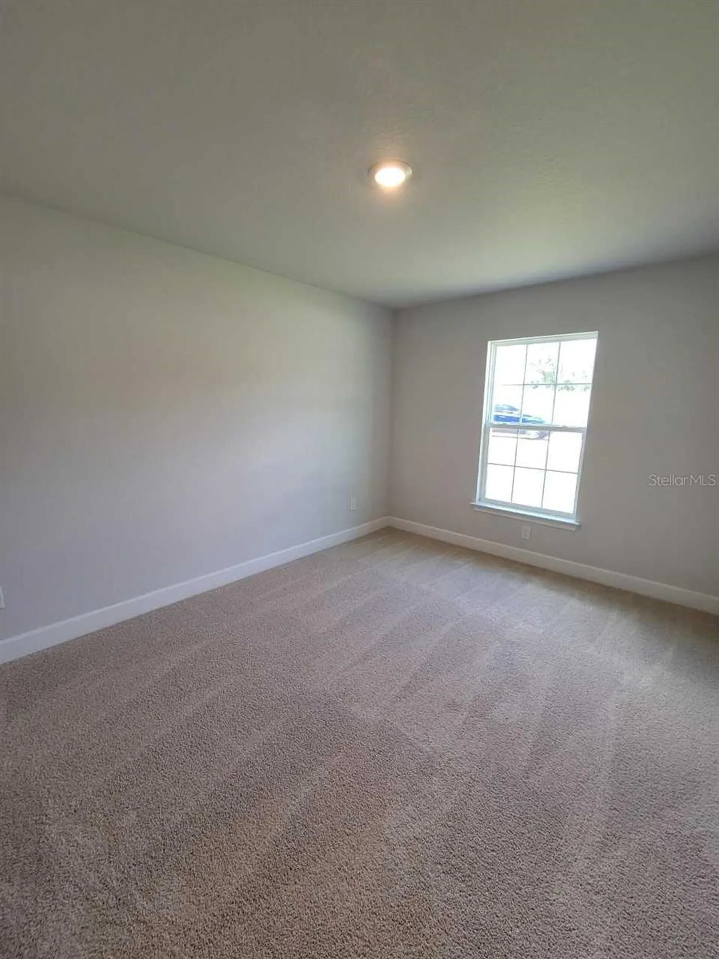 8247 SW 125th Court Road Dunnellon FL 34432