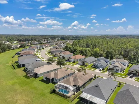 4641 Rolling Green Drive Wesley Chapel FL 33543