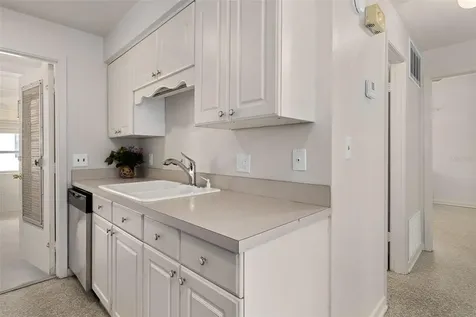 455 Belle Ayre Drive Mount Dora FL 32757
