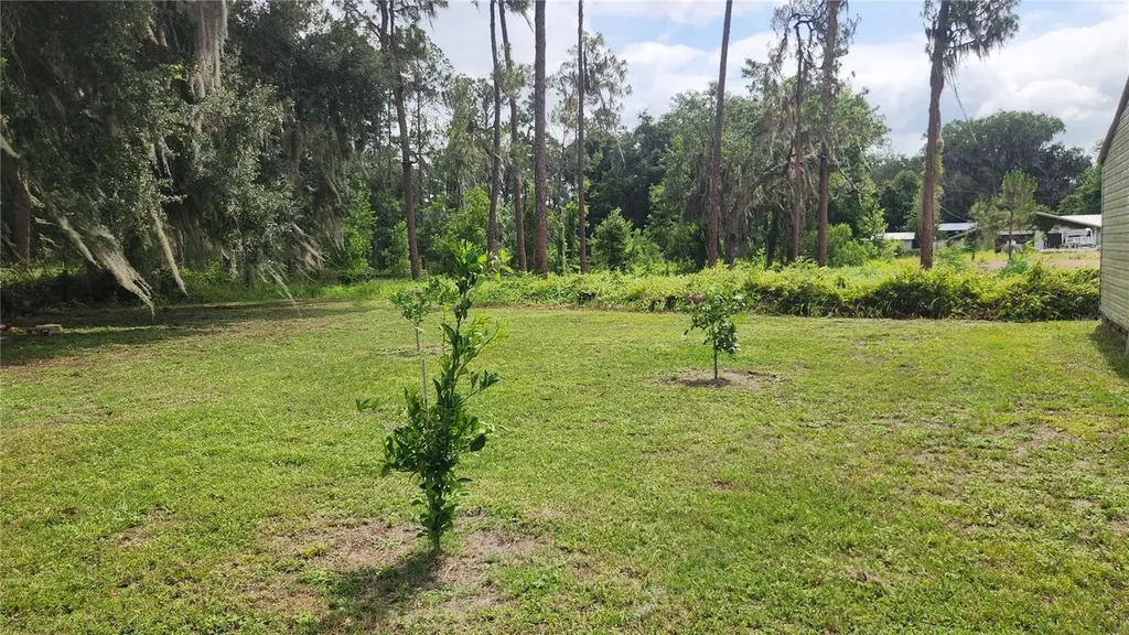 102 Eberhard Avenue Palatka FL 32177