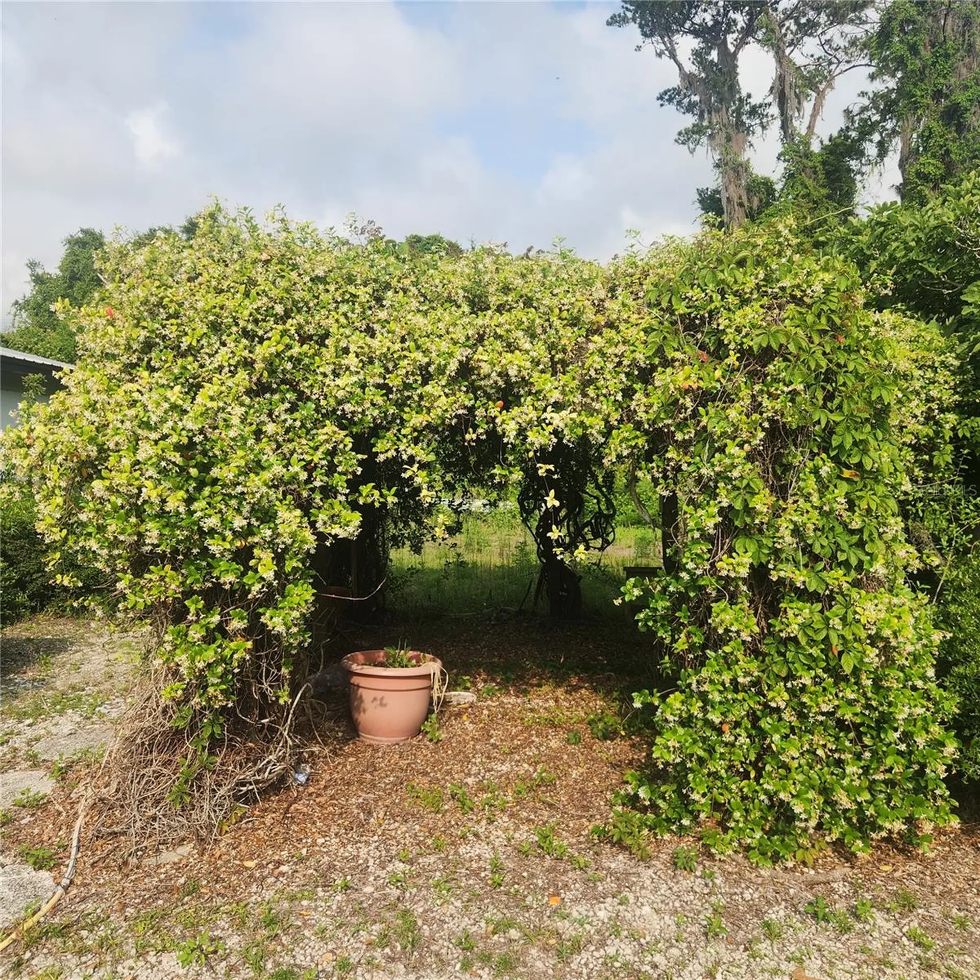 102 Eberhard Avenue Palatka FL 32177