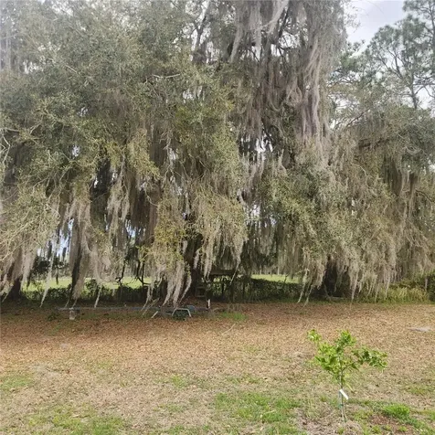 102 Eberhard Avenue Palatka FL 32177