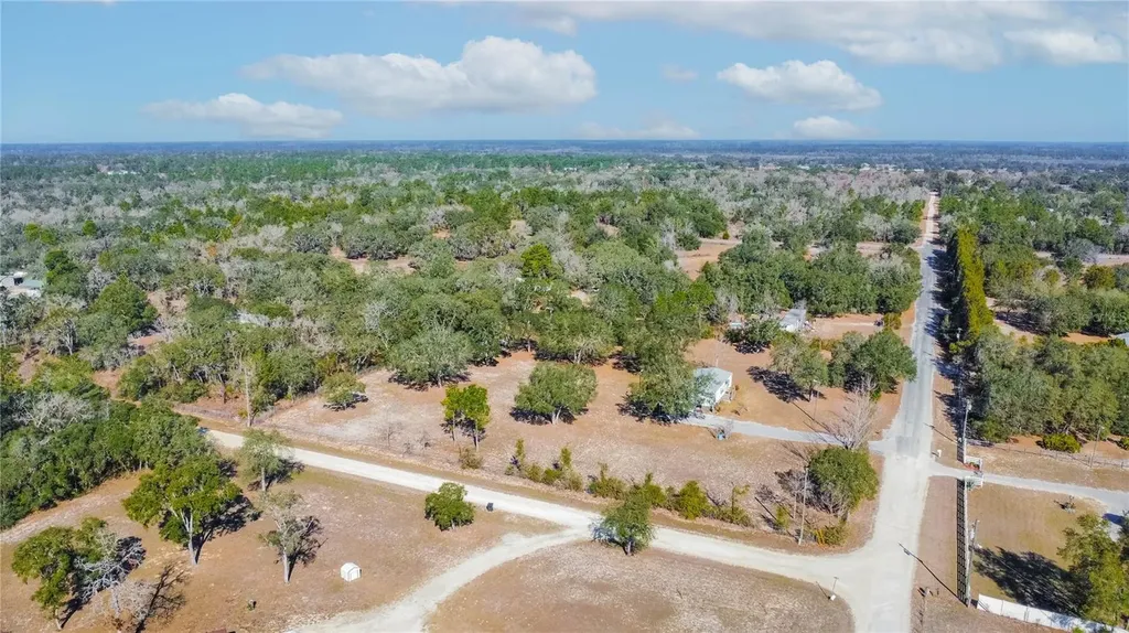 10494 N Spence Avenue Dunnellon FL 34433
