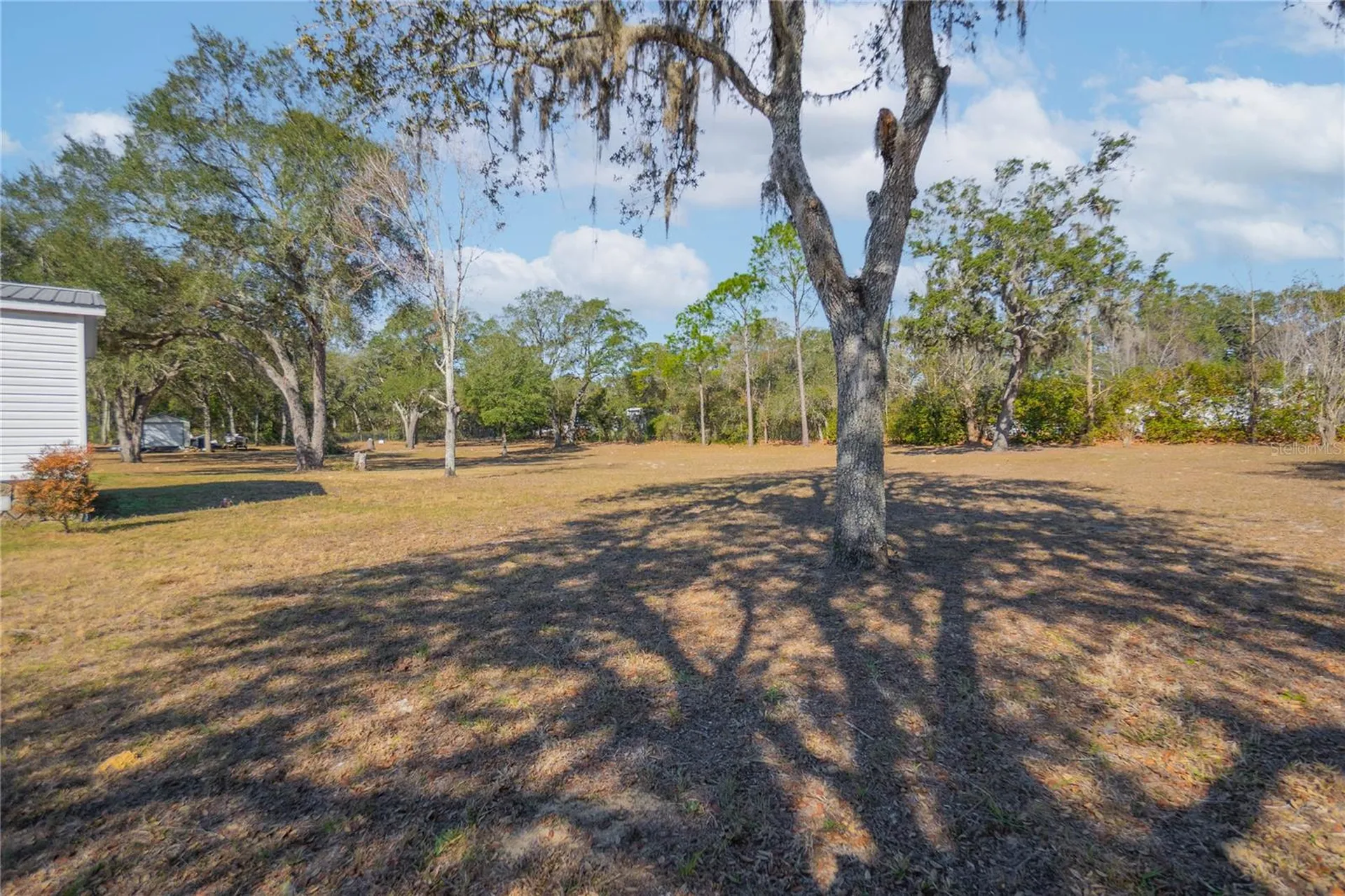 10494 N Spence Avenue Dunnellon FL 34433