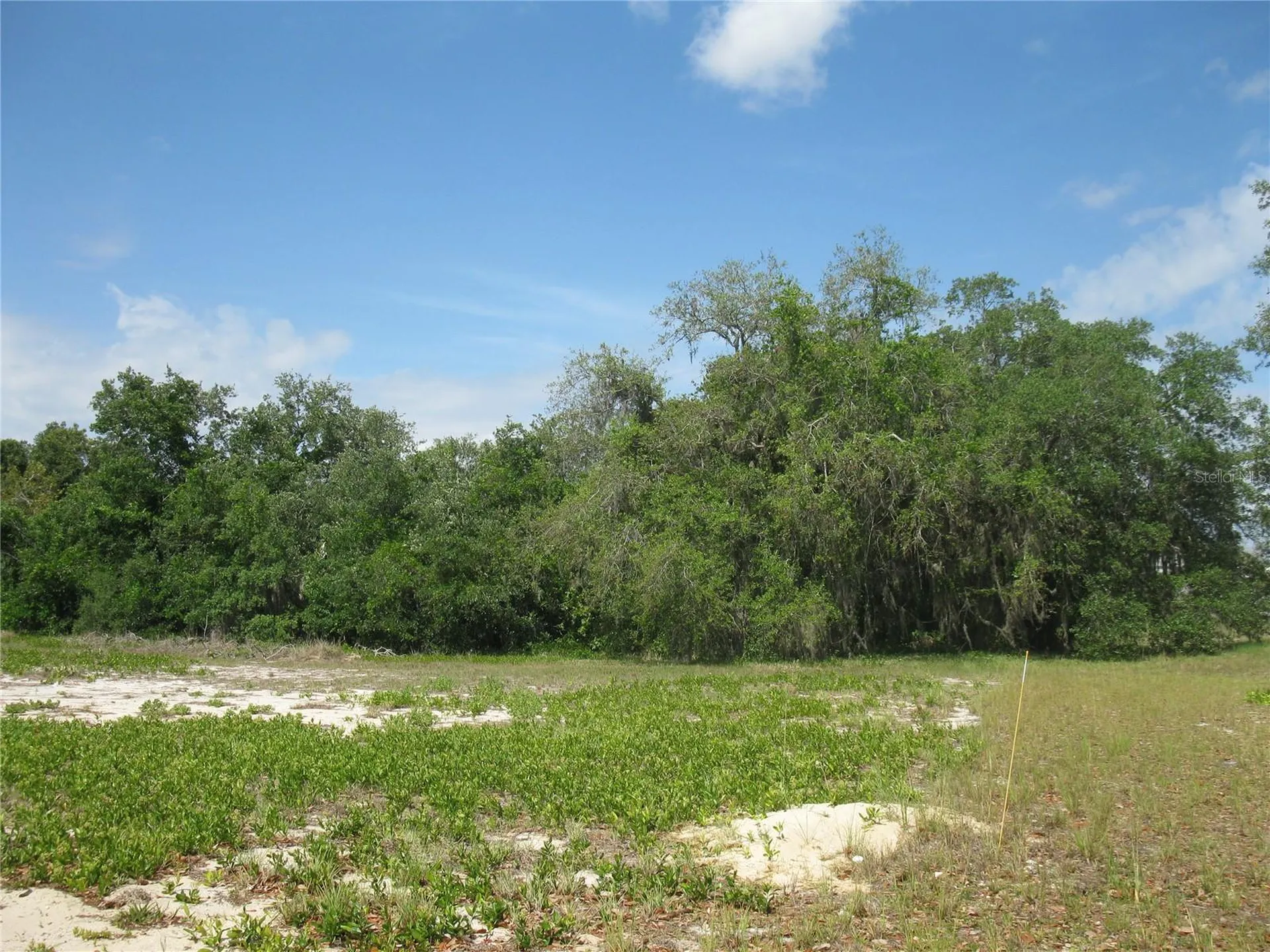 4199 Jacaranda Drive Lake Wales FL 33898