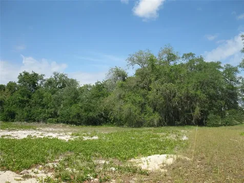 4199 Jacaranda Drive Lake Wales FL 33898