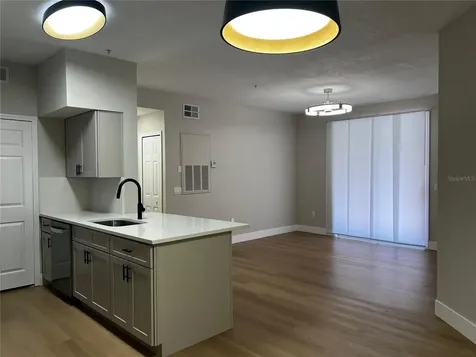 13102 Mulberry Park Drive Orlando FL 32821