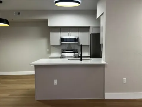 13102 Mulberry Park Drive Orlando FL 32821