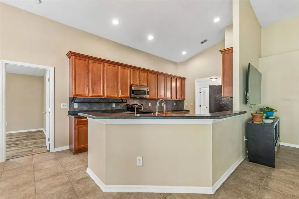 6736 Pine Springs Drive Wesley Chapel FL 33545