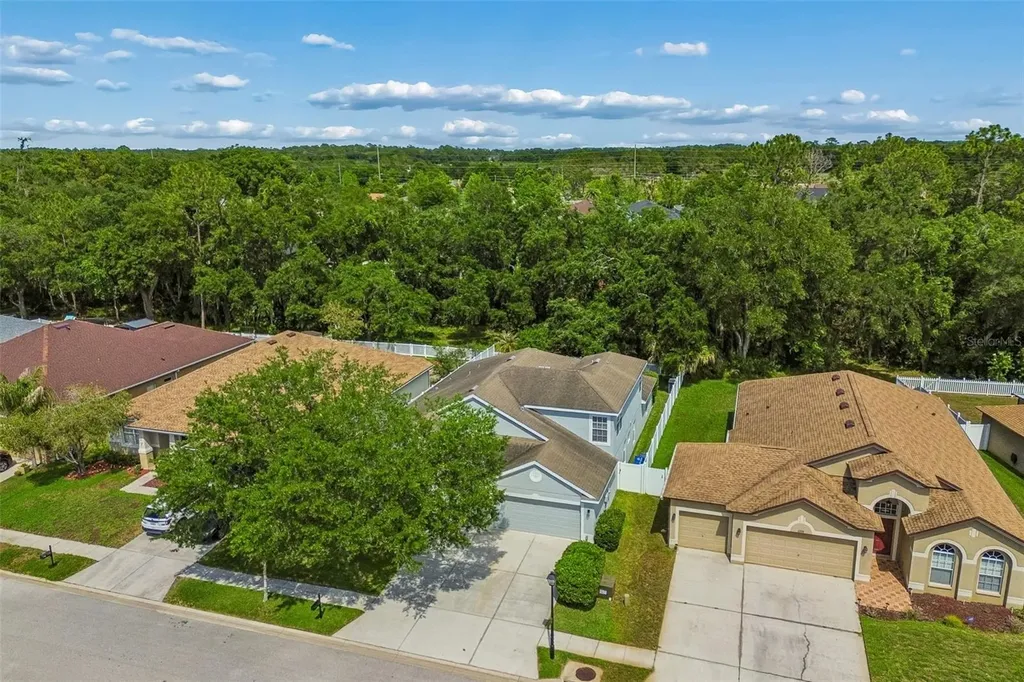 6736 Pine Springs Drive Wesley Chapel FL 33545