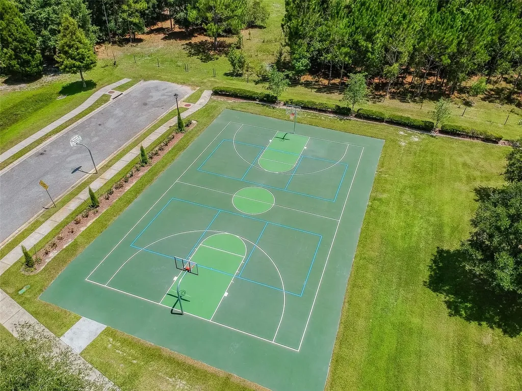 6736 Pine Springs Drive Wesley Chapel FL 33545
