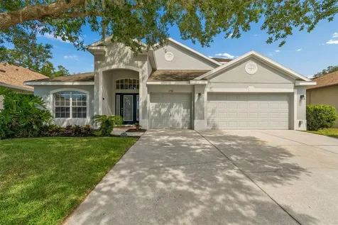 6736 Pine Springs Drive Wesley Chapel FL 33545