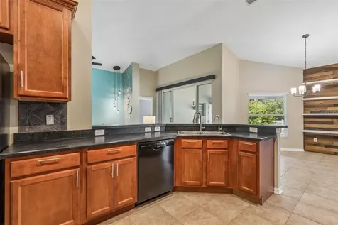 6736 Pine Springs Drive Wesley Chapel FL 33545