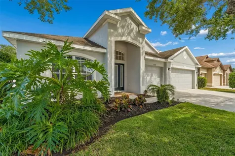 6736 Pine Springs Drive Wesley Chapel FL 33545