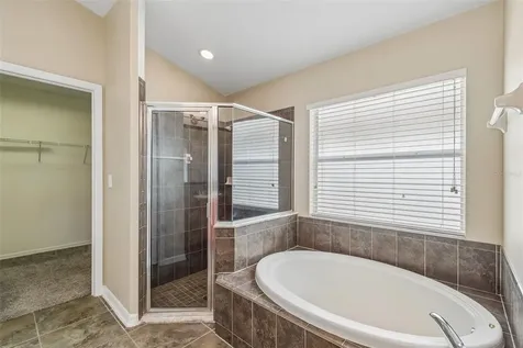 6736 Pine Springs Drive Wesley Chapel FL 33545