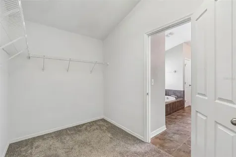 6736 Pine Springs Drive Wesley Chapel FL 33545