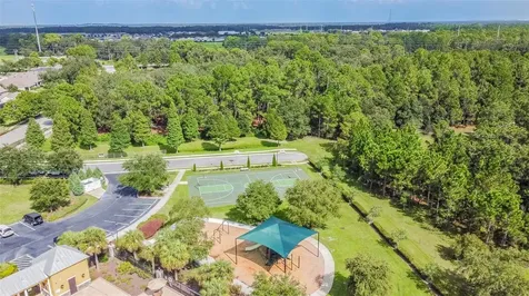 6736 Pine Springs Drive Wesley Chapel FL 33545