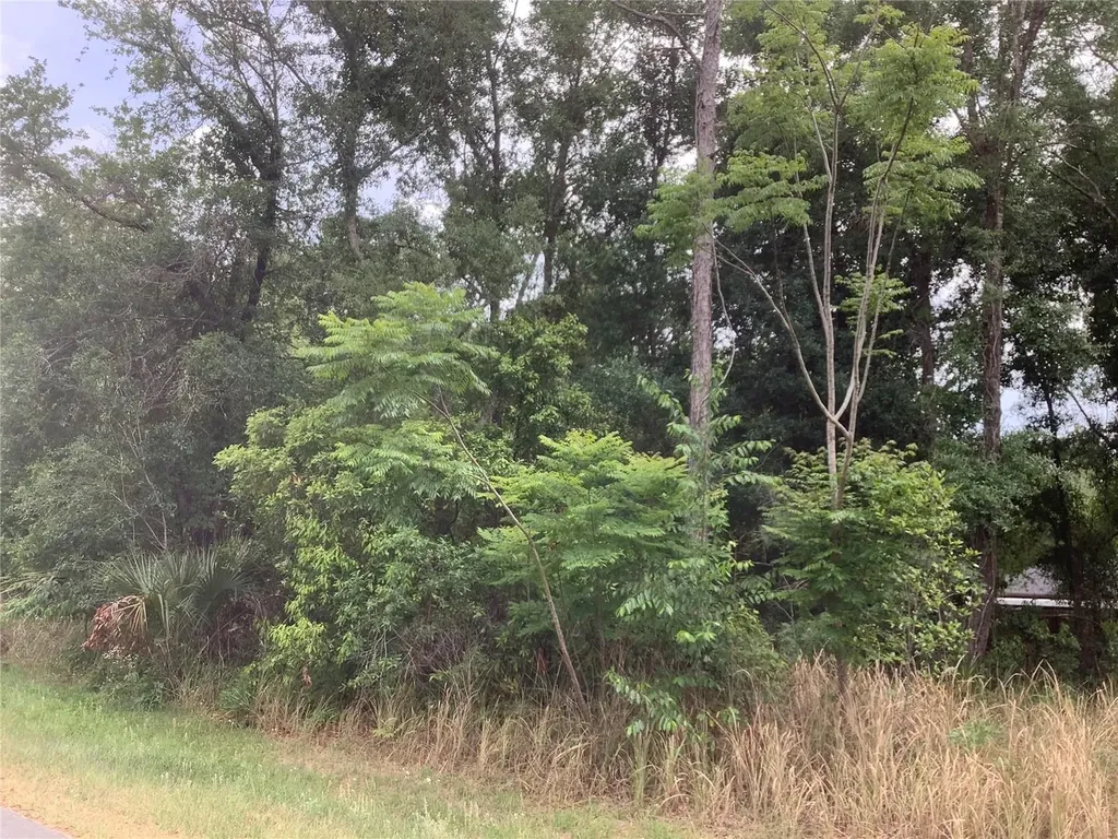 0 Bahia Circle Lane Ocala FL 34472