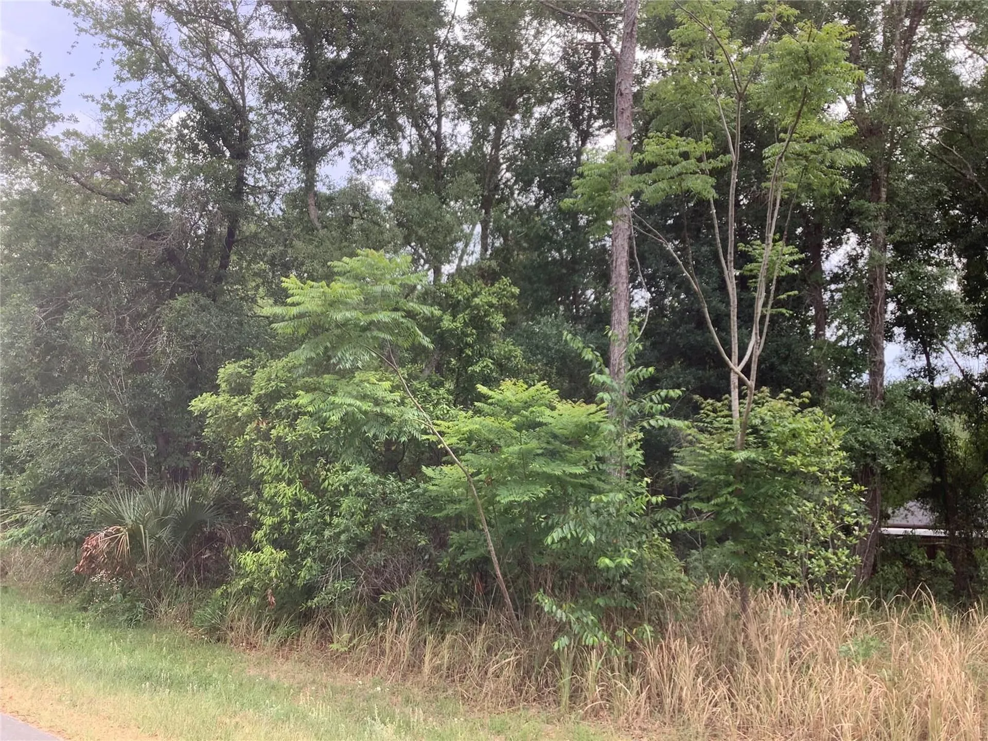 0 Bahia Circle Lane Ocala FL 34472