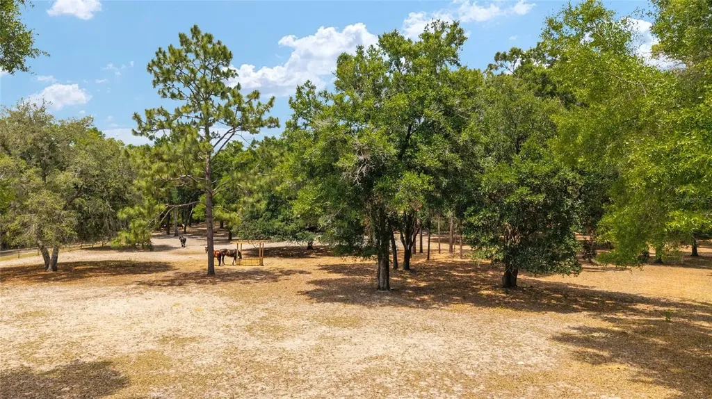 19551 SE 42nd Place Morriston FL 32668