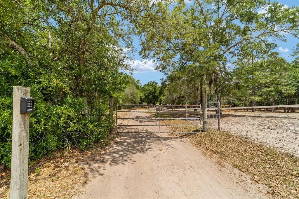 19551 SE 42nd Place Morriston FL 32668