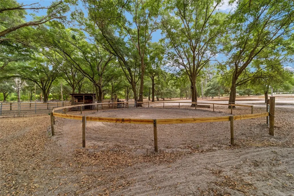 19551 SE 42nd Place Morriston FL 32668