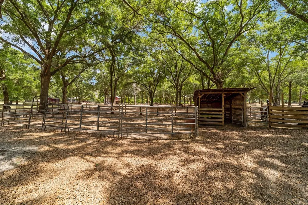 19551 SE 42nd Place Morriston FL 32668