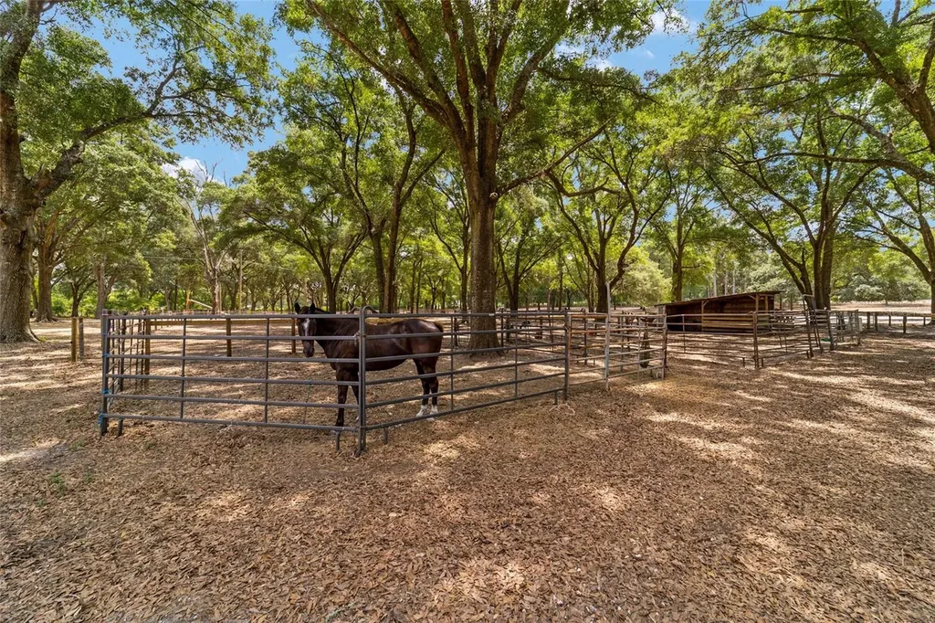 19551 SE 42nd Place Morriston FL 32668