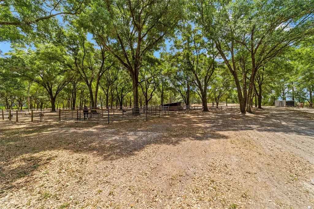 19551 SE 42nd Place Morriston FL 32668