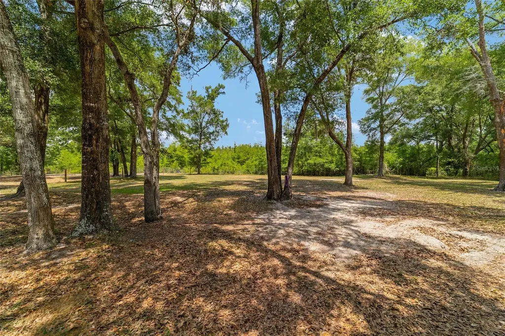 19551 SE 42nd Place Morriston FL 32668