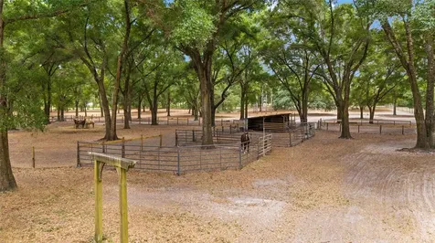 19551 SE 42nd Place Morriston FL 32668
