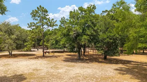 19551 SE 42nd Place Morriston FL 32668