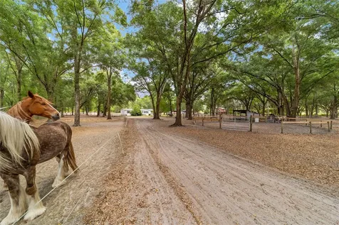 19551 SE 42nd Place Morriston FL 32668