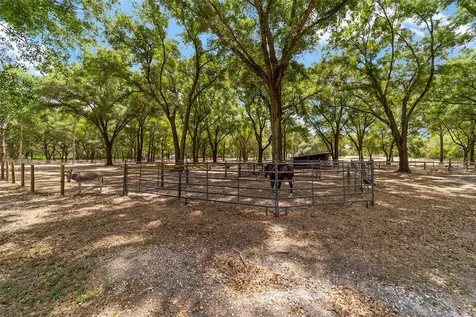 19551 SE 42nd Place Morriston FL 32668