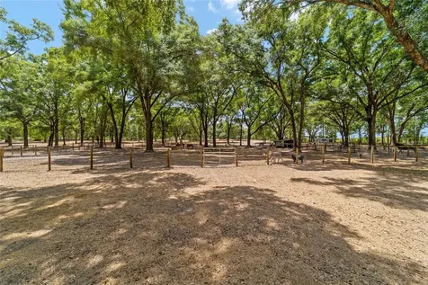 19551 SE 42nd Place Morriston FL 32668