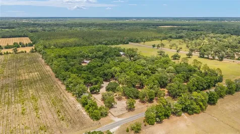 19551 SE 42nd Place Morriston FL 32668