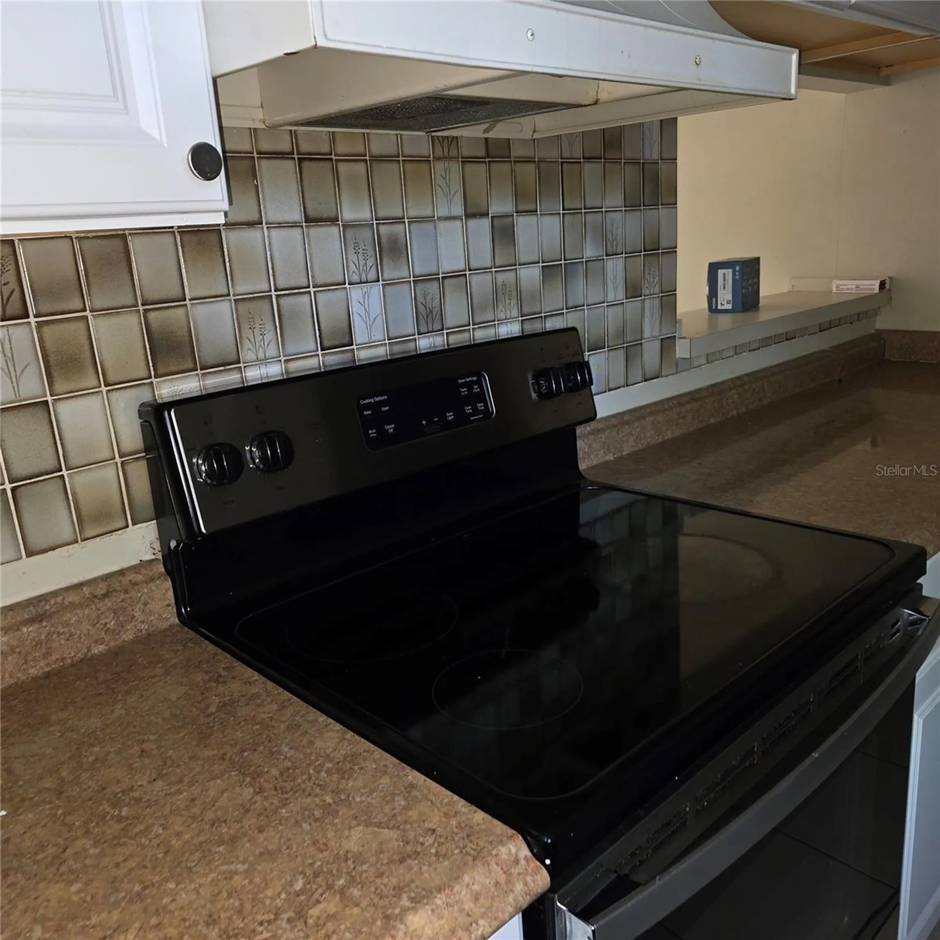 484 Tamarack Street Altamonte Springs FL 32714