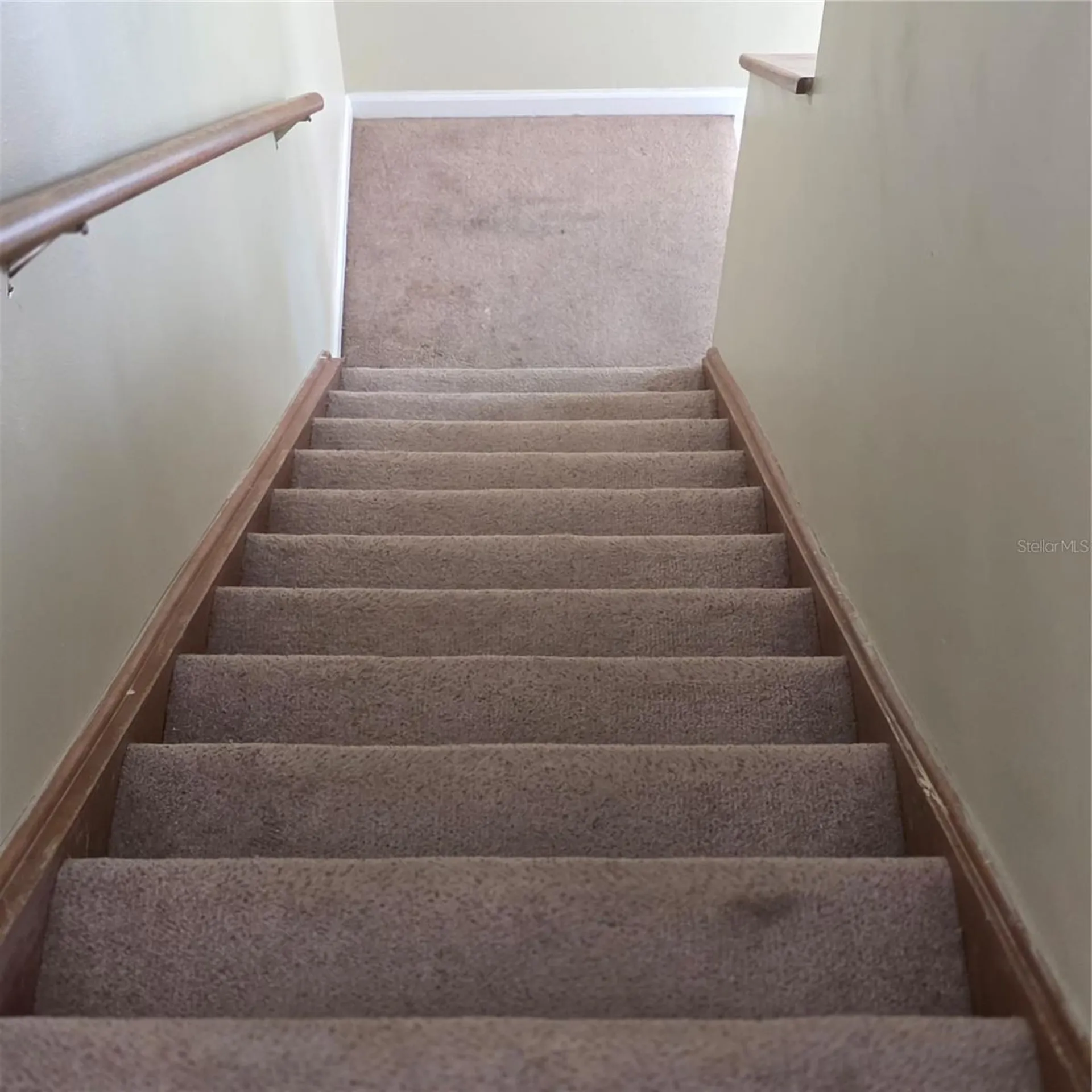 484 Tamarack Street Altamonte Springs FL 32714