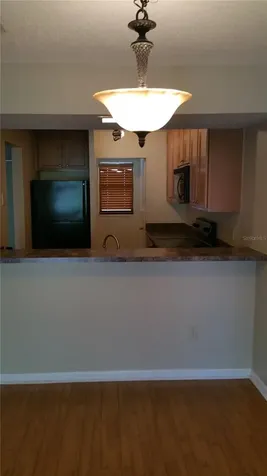 2934 Plaza Terrace Drive Orlando FL 32803