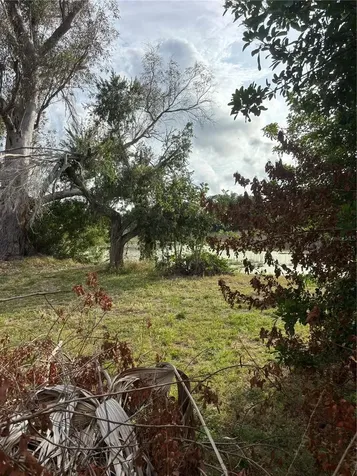 3415 Overland Drive Holiday FL 34691
