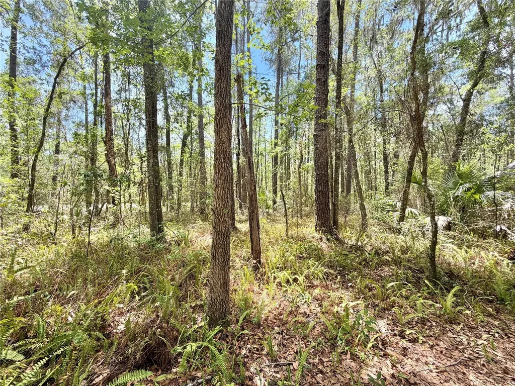 5229 SW 86th Terrace Gainesville FL 32608